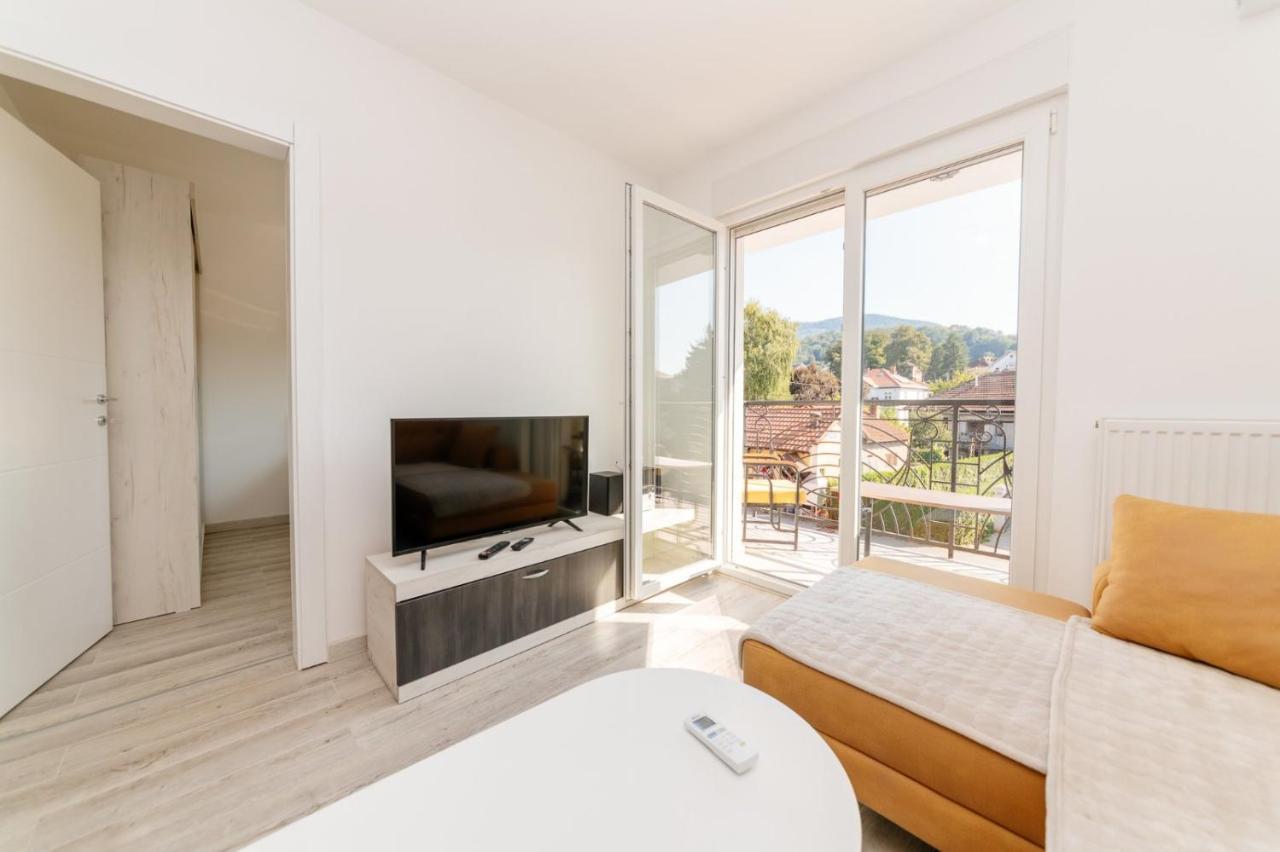 Apartman Jovana Banja Koviljaca Banja Koviljača Exterior foto